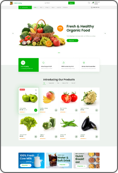 Web Design Agency